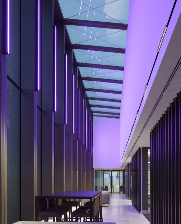 Grant Thornton intro image